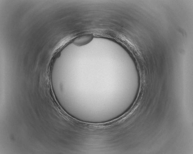 X0000116651354200912140957