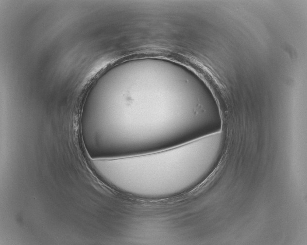 X0000116651355200912140957