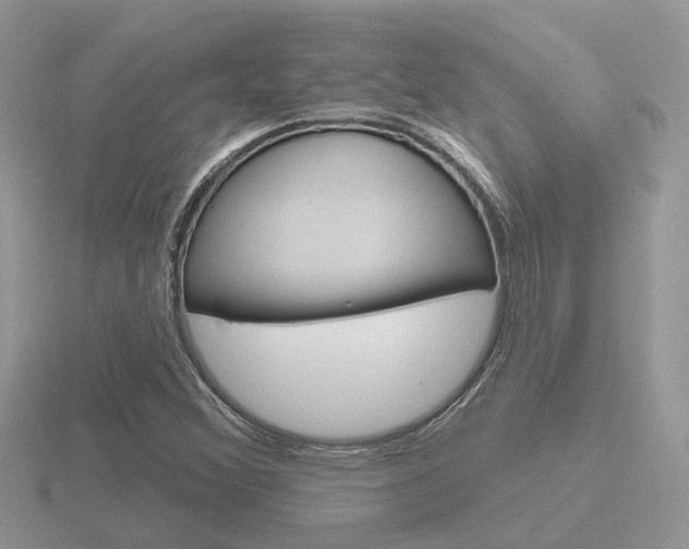 X0000116651356200912140957