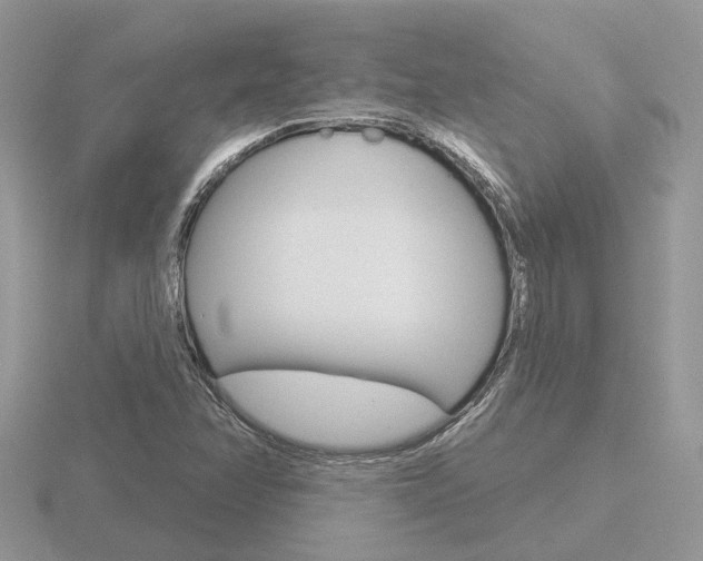 X0000116651358200912140957