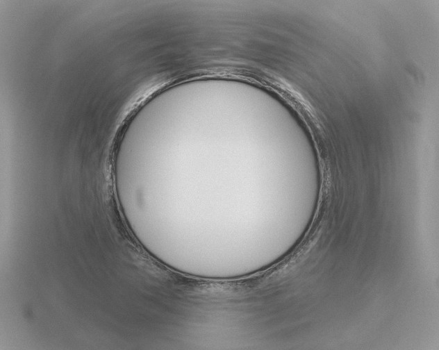 X0000116651362200912140957