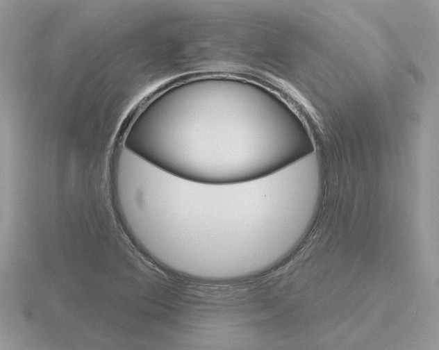 X0000116651364200912140957