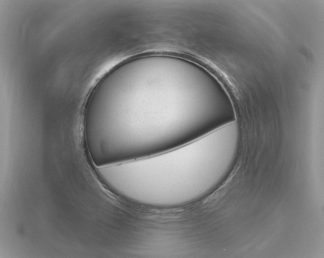 X0000116651367200912140957