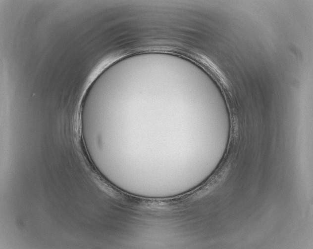 X0000116651370200912140957