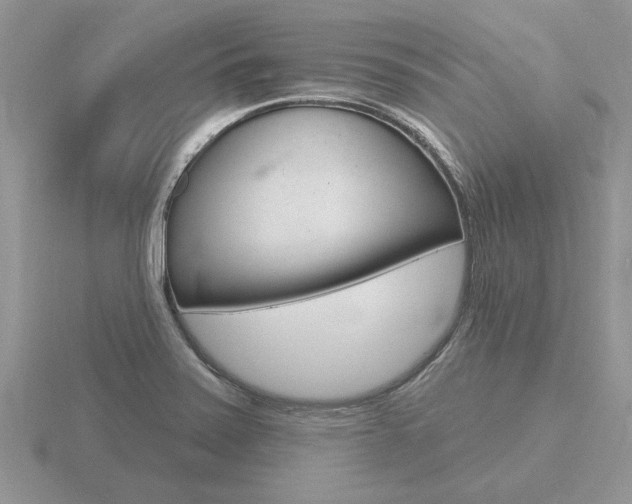 X0000116651371200912140957