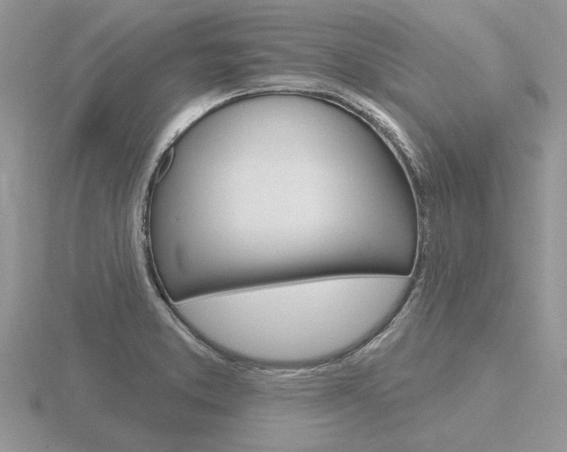 X0000116651373200912140957
