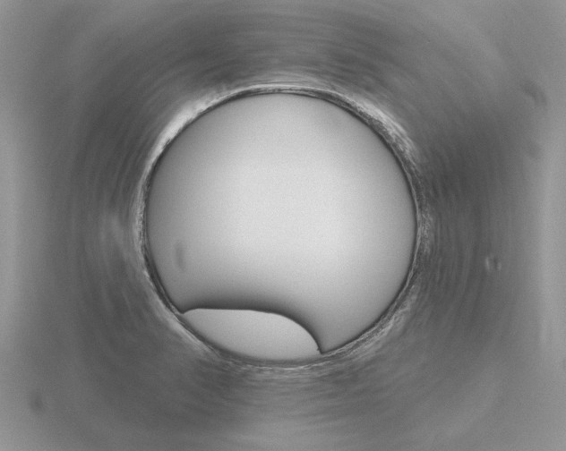 X0000116651374200912140957