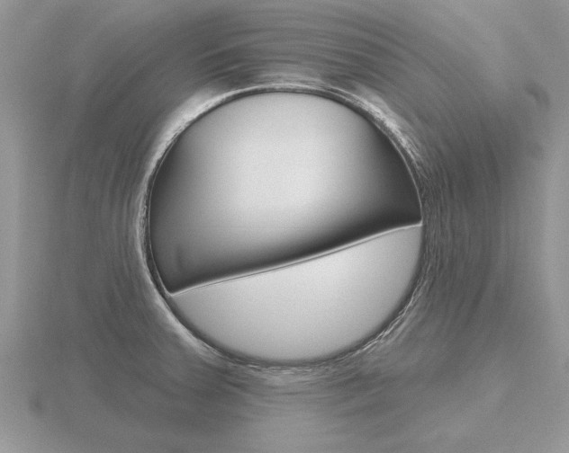 X0000116651379200912140957