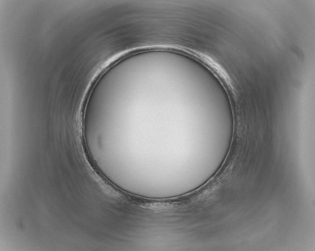 X0000116651380200912140957