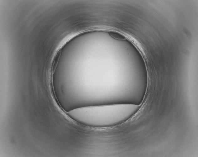 X0000116651381200912140957