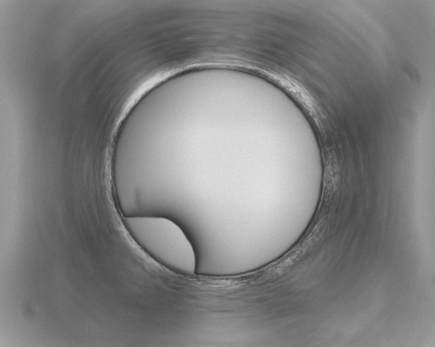 X0000116651382200912140957
