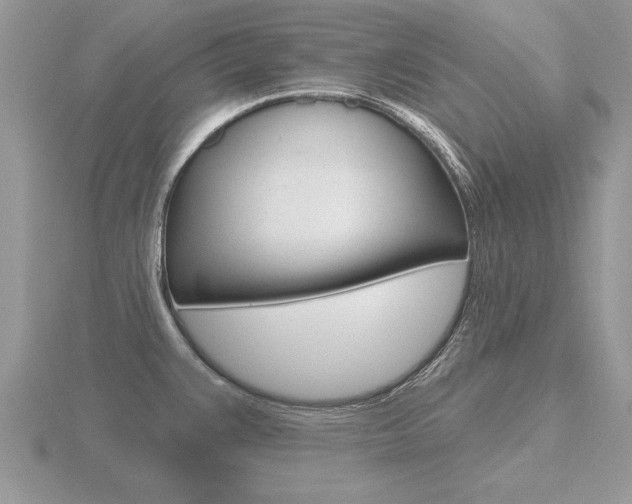 X0000116651383200912140957