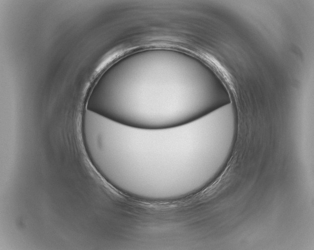 X0000116651384200912140957