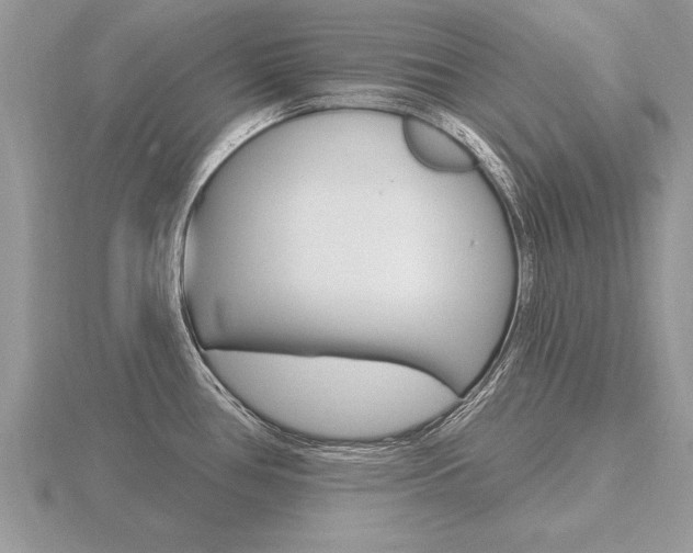 X0000116651386200912140956