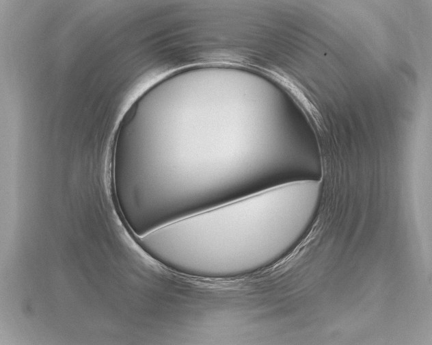 X0000116651387200912140956
