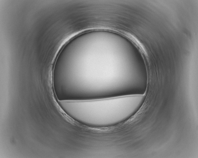 X0000116651388200912140956
