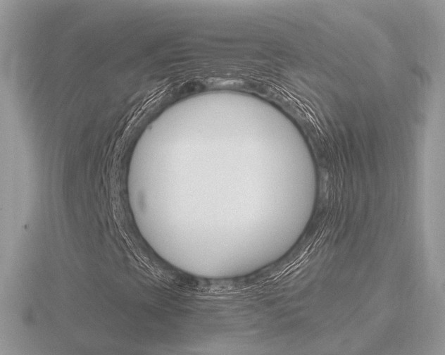 X0000116651393200912140956