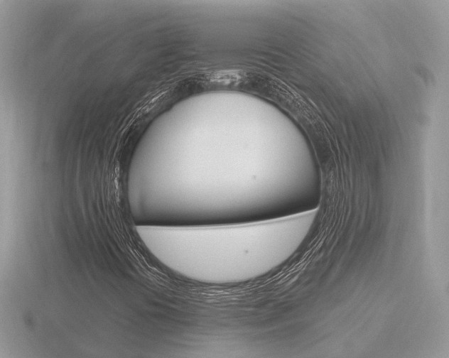 X0000116651394200912140956