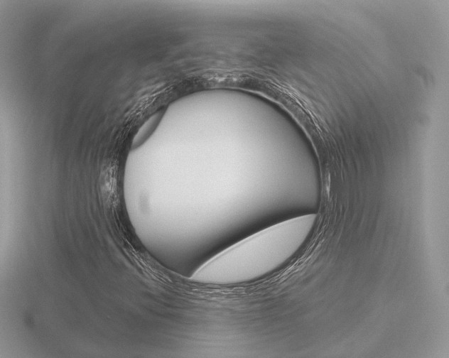 X0000116651396200912140956