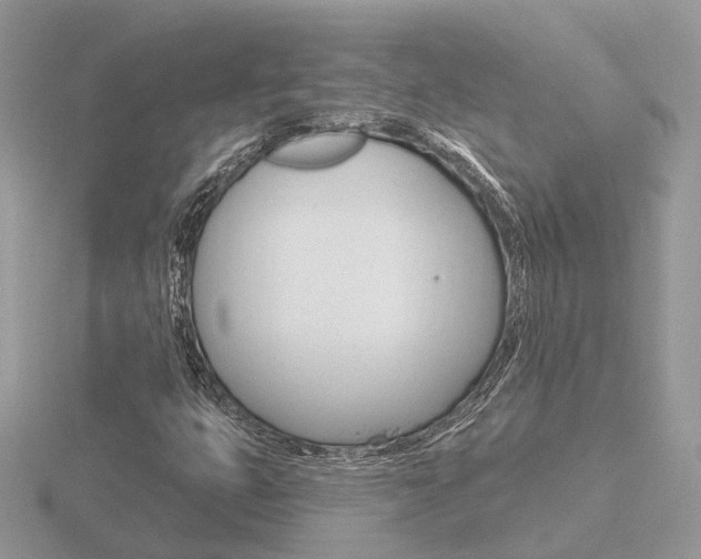 X0000116651399200912140956