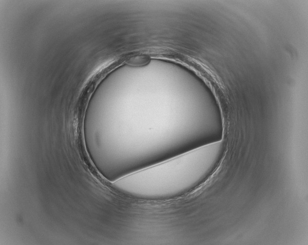 X0000116651402200912140956