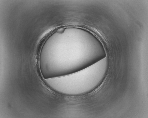 X0000116651406200912140956