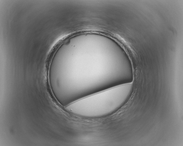 X0000116651408200912140956