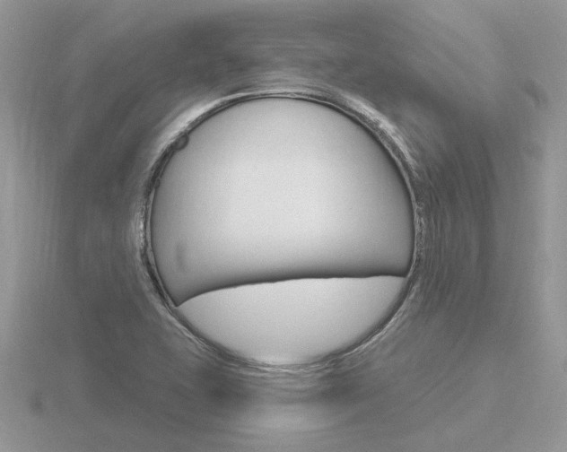 X0000116651415200912140956