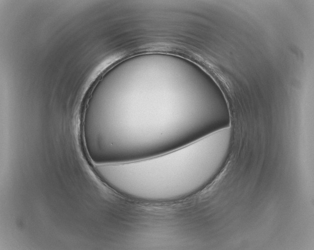 X0000116651418200912140956