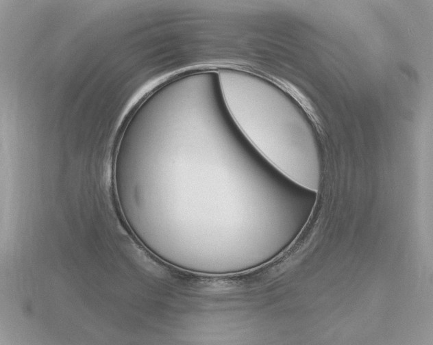 X0000116651420200912140956
