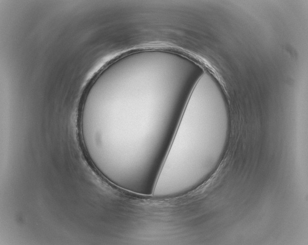 X0000116651422200912140956