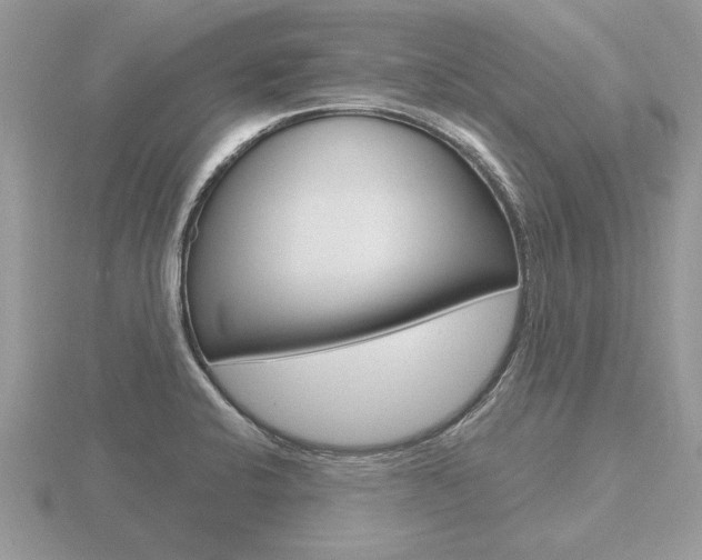 X0000116651424200912140956