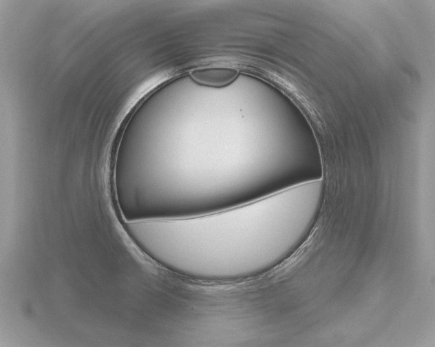 X0000116651426200912140956