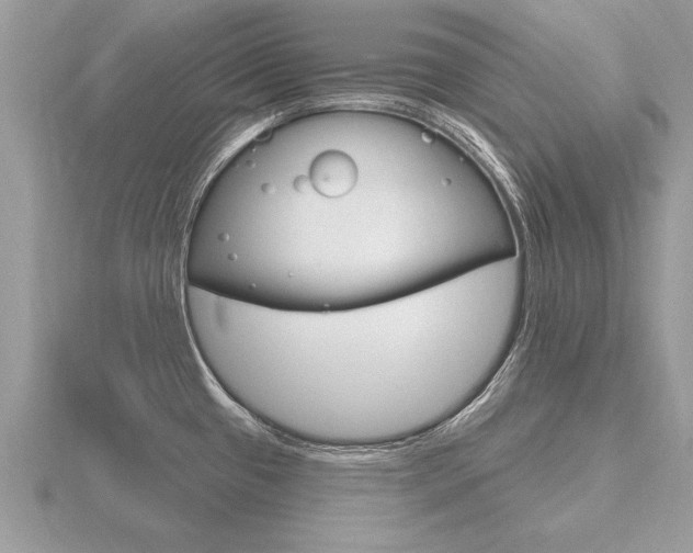 X0000116651433200912140956