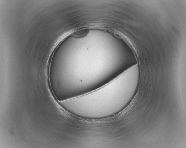 X0000116651434200912140956
