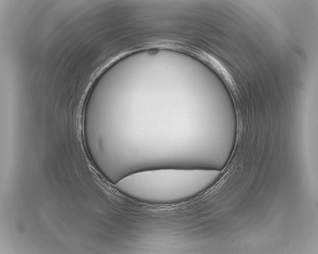 X0000116651435200912140956