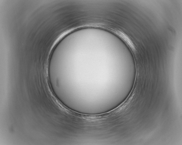 X0000116651436200912140956