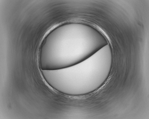 X0000116651437200912140956