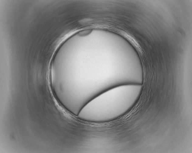 X0000116651439200912140956