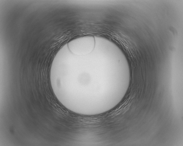 X0000116651443200912140956