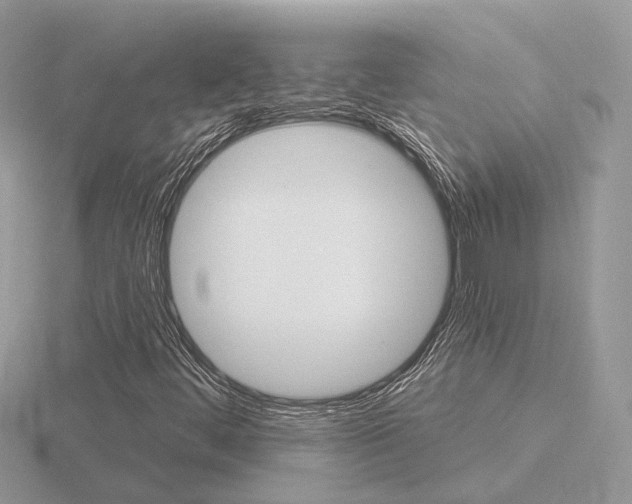 X0000116651444200912140956