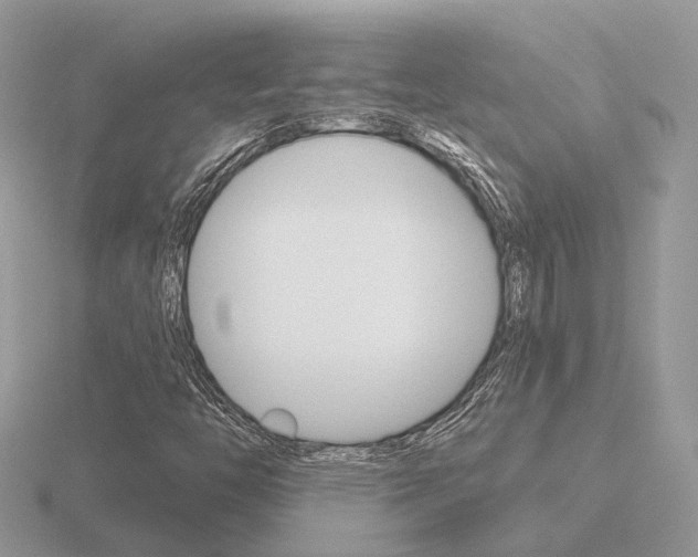 X0000116651446200912140956