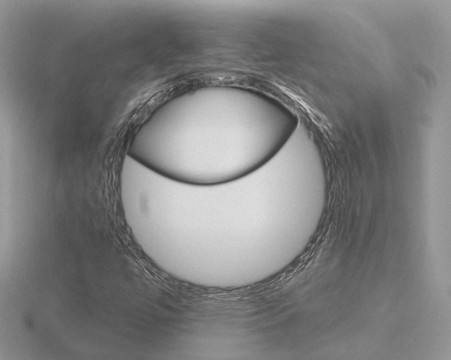 X0000116651447200912140956