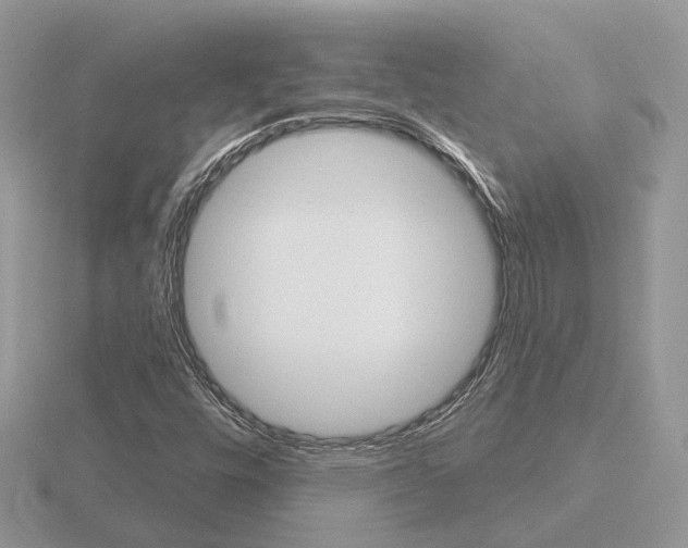 X0000116651448200912140956