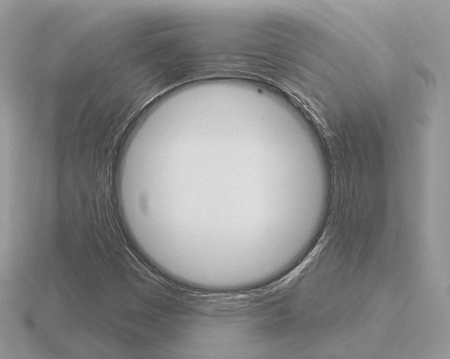 X0000116651449200912140956