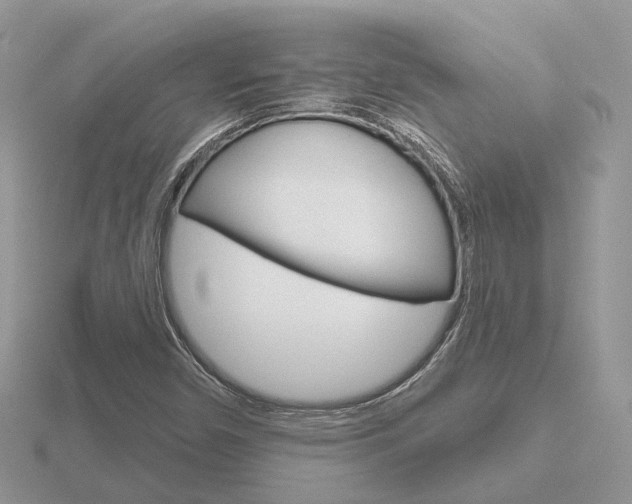 X0000116651450200912140956