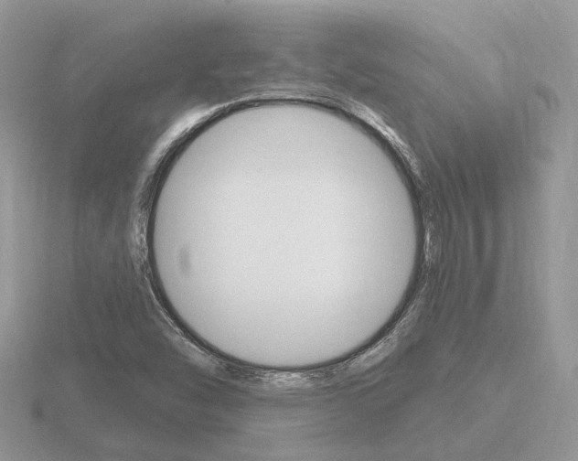 X0000116651454200912140956
