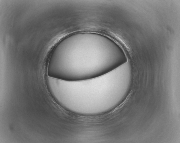 X0000116651455200912140956