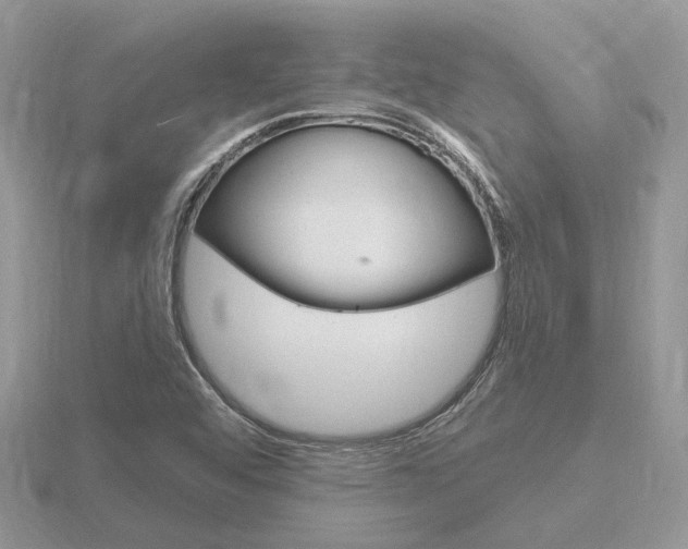X0000116651456200912140956