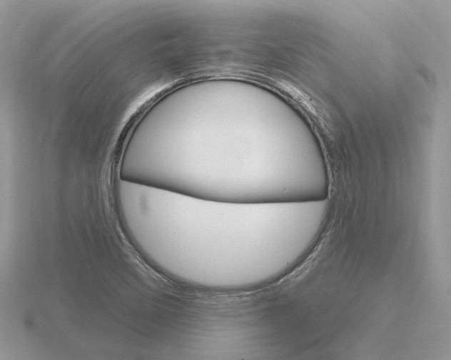 X0000116651458200912140956